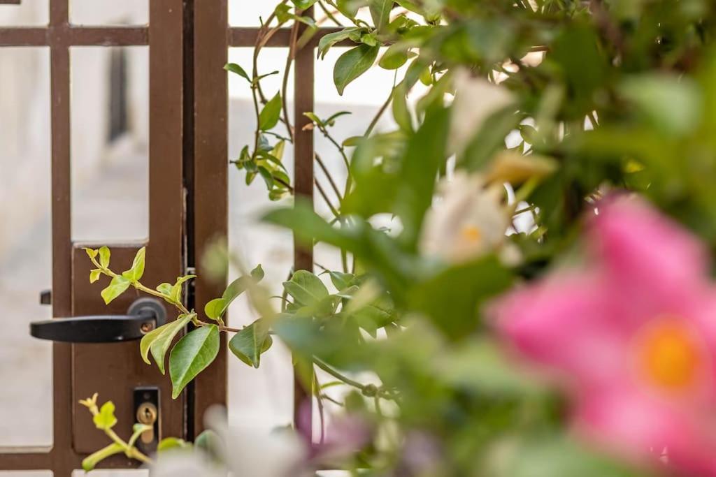 Cconforthotels Appartamento Domus Venezia Bari Exteriér fotografie